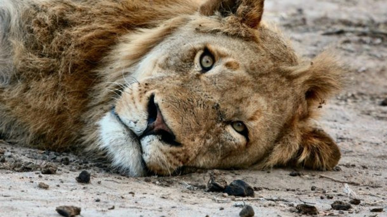 4 Tips to Tame the Tax Beast